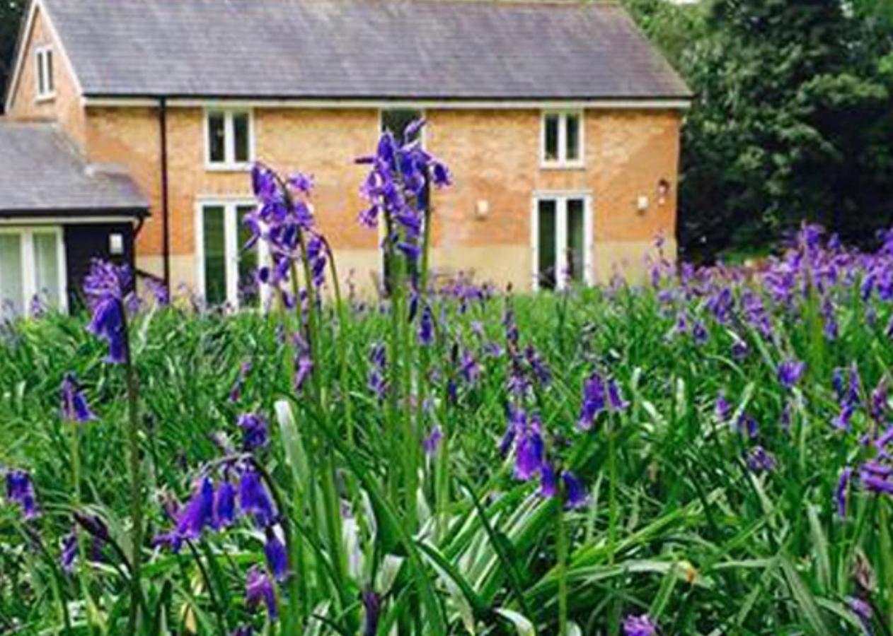 Grooms Cottage Alkham Exterior foto